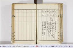 明い013040000003.jpg