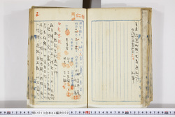 明い013040020002.jpg