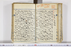 明い013040100003.jpg