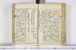 明い013040110003.jpg