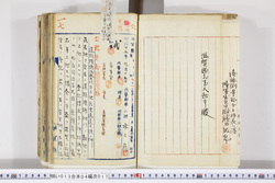 明い013040170002.jpg