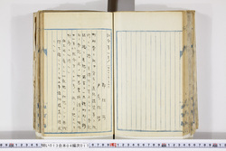 明い013040170005.jpg