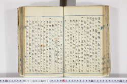 明い013040170009.jpg