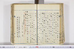 明い013040170010.jpg