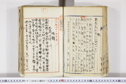 明い013040190002.jpg