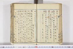 明い013040200003.jpg