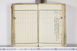 明い013050000003.jpg