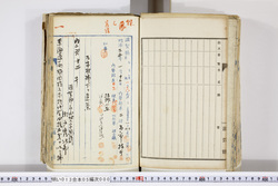 明い013050000004.jpg