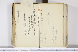 明い013050010004.jpg