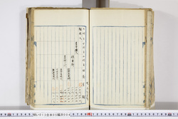 明い013050040009.jpg