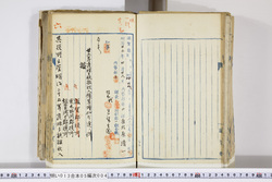 明い013050040013.jpg