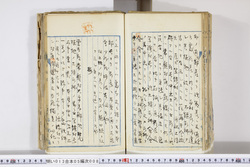 明い013050080015.jpg