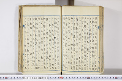 明い013050080021.jpg