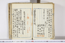 明い013050120006.jpg
