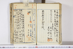 明い013050130002.jpg