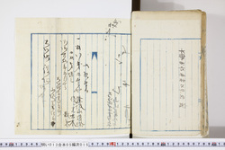明い013050150004.jpg