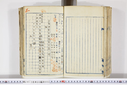 明い013060020005.jpg