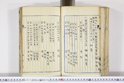 明い013060050002.jpg