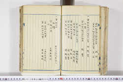 明い013060050004.jpg