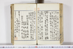 明い013060090006.jpg