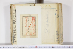明い013060090010.jpg