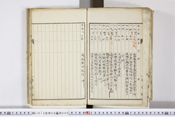 明い013080000003.jpg