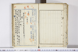 明い013080000004.jpg