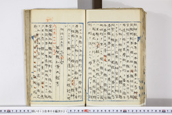 明い013080210002.jpg