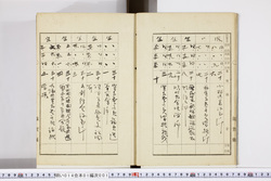 明い014010010006.jpg