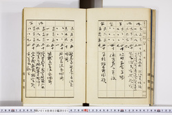 明い014020010008.jpg