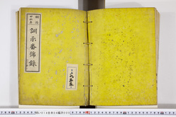 明い014040000002.jpg