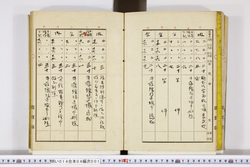 明い014040010005.jpg
