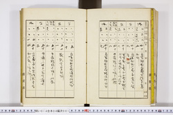明い014040010007.jpg