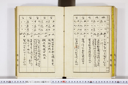 明い014040010008.jpg