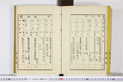 明い014050010006.jpg