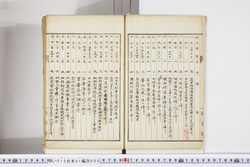 明い015010000005.jpg