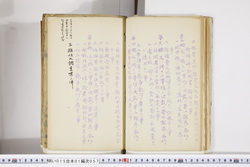明い015010570004.jpg