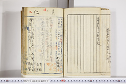 明い015020010004.jpg