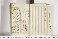 明い015020020002.jpg