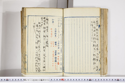 明い015020020004.jpg