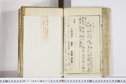 明い015020020005.jpg
