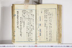 明い015020020006.jpg