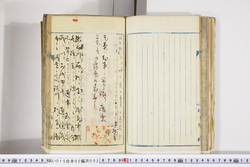 明い015020020007.jpg