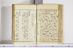 明い015020020016.jpg