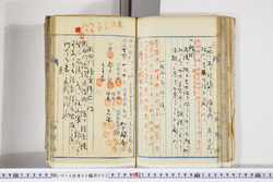 明い015020020017.jpg