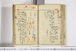 明い015020020018.jpg
