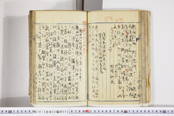 明い015020020019.jpg