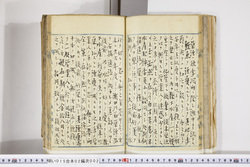 明い015020020020.jpg