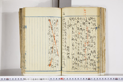 明い015020020025.jpg