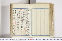 明い015020020026.jpg